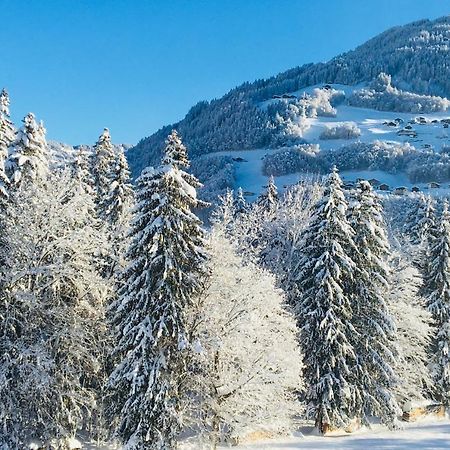 Ferienwohnung Bitschnau Шрунс Екстер'єр фото